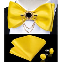Exqusite Men's Self-tie Bowties Wedding Neck Ties For Man Accessories Cufflinks Hanky Brooch Set Red Black Yellow Blue Bowtie