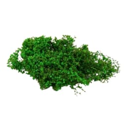 Miniature Climbing Vine Model, Artificial Leaves for Diorama, DIY Railway Scenery, Fake Foliage Plants for Architectural Model