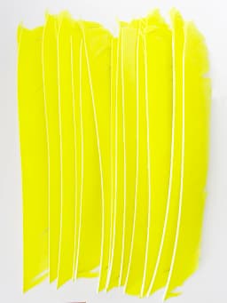 100PCS 18-25CM Full Length Turkey Arrow Feathers DIY Hunting Bow Arrow Accessories Archery Fletching Right Wing Vanes