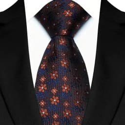 Luxury 8CM Mens Necktie Brown Blue Color Dot Stripes Solid Tie For Man Groom Jacquard Woven Neck Tie For Business Wedding Party