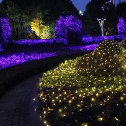 Net Lighting Fairy Lamp Light String Waterproof Outdoor EU 220V US 110V Christmas Garden Holiday Home Decor Wedding Party Fairy