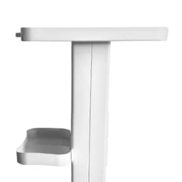 2-tier Salon Trolley with Socket Stand Rolling Cart Beauty Wheel Holder Spa Cart White 220V