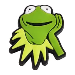 Funny Frog Shoe Charms for Crocs Accessories Men Clogs Pins Women Badge Boy Girl Jeans Kids Decorations Buckle Shoes Accessories