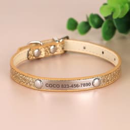 Anti-lost Cat ID Collar Personalized Puppy Cat Collars Necklace Free Engraved ID Name Tag For Kitten Cats Small Dogs Bling
