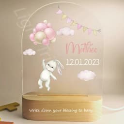 Customized Baby Birth Night Light Personalized Name Animal Bear Bunny Rabbit with USB Lamp for Bedroom Birthday Christmas Gift