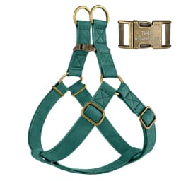 Custom PU Leather Harness And Leash Engraved Dog ID Buckle Harnesses Vest Pet Leading Rope Durable For Small Medium Dogs Bulldog