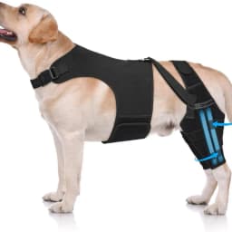 Dog Knee Brace for Torn ACL Hind Leg, Puppy Leg Brace Helps Reduce Pain from Torn CCL, Luxating Patella, Ligament, Hip Dysplasia