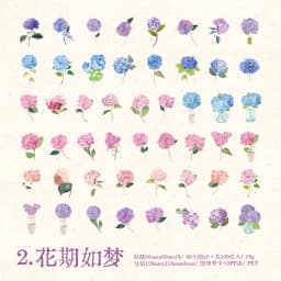100pcs Flowers Sticker pack Rose Tulip Daisy Transparent Waterproof Plant hand account Decoration Scrapbooking Material