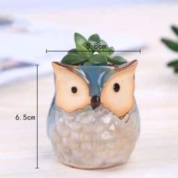 Flower Pots Creative Ceramic Mini Flowerpot Succulent Planter Cute Owl Plants Flower   Pot With Hole Garden Home Office Decor