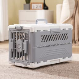 Foldable Pet Carrier, Collapsible Cat Dog Travel Crate with Secure Lock Door, Anti-Slip Mat, Portable Small Animal Kennel for Travel