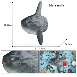 Oenux Sea Life Animals Model Action Figures Ocean Fish Sailfish Bass Grouper Salmon Aquarium Figurines PVC Educational Kids Toy