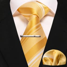 JEMYGINS Business Tie for Men Silk Navy Blue Tie Striped Paisley Necktie Handkerchief Tie Clips Set for Wedding Party Gift
