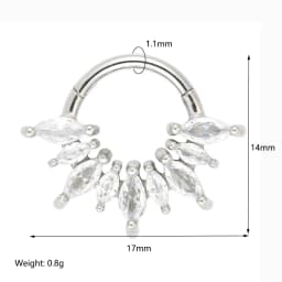 1/4 Pcs 316 Stainless Steel Closed Hinge Inlaid Purple, Pink, White, Orange 5A Zircon Pierced Nose Ring Earrings