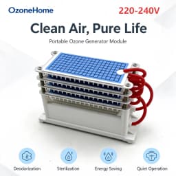 220V 60g 10g Ozone Generator Air Cleaner Ozonizer Sterilize Purifier Treatment Formaldehyde Remove Odor Ozonizador Ozone Machine