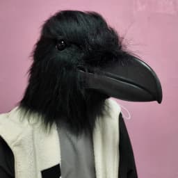 Unique Shaggy Feather Raven Mask Creative Black Animal Costume Accessories For Halloween Party Cosplay Themed Event