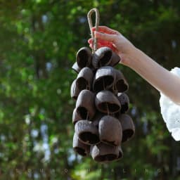 Natural Fruit Shell Hand Bell Sound Healing Outdoor Wind Chimes Meditation Yoga Spiritual Chime Bell Percussion Instrument
