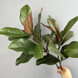 2pcs Artificial Magnolia Leaf Green Plant Floral Plastic Simulation Magnolia Branch Fake Plants Leaves Shopping Mall Decoration