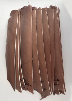 LW 50 Pcs Full Length (7-10 inch) Archery Fletches Natural Tureky Feathers Hunting Arrow Fletching for Bow DIY Accessories