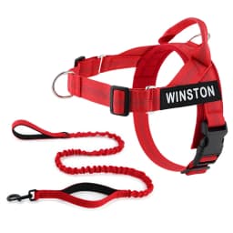 Custom Name No Pull Dog Harness Elastic Buffer Leash Set Adjustable Reflective Nylon Walking Lead for Small Medium Large Dogs