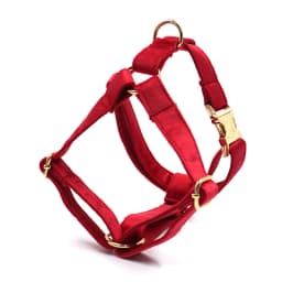 Personalized Dog Harness Collar Name Customized Velvet Collar Bow Leash for Small Medium Large Dogs Poop Bag Dispenser Pouch