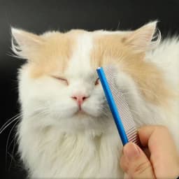 Mini Pet Face Comb Grooming Comb For Shaggy Cat Dogs Barber Grooming Tool Salon Pet Grooming High Quality Stainless Comb