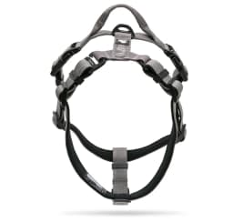 Truelove Pet Harness Adjustable Reflective Nylon with Collar Leash LED Light Neoprene Padded Hiking Running TLH6171 Dropshipping