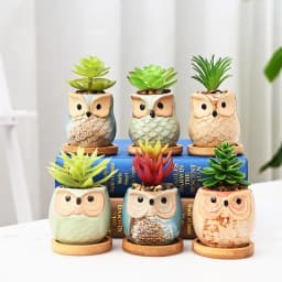 Flower Pots Creative Ceramic Mini Flowerpot Succulent Planter Cute Owl Plants Flower   Pot With Hole Garden Home Office Decor