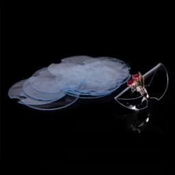 Transparent Jewelry Ring Display Stand Organizer Bague Round Holder Sheet Store Rings Presentation Showcase Wholesale 50pcs/lot