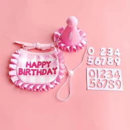 Pet Birthday Party Hat Bib Set Cute Cat Dog Birthday Celebration Scarf Dress Up Kitten Puppy Costumes Gift Pet Accessories