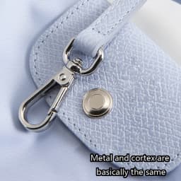 Shoulder Strap For Longchamp Strap Mini New Color Mini Bag Strap Bag Belt Crossbody Bag Transformation Accessories