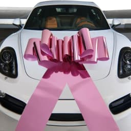 Big Car Bow 30Inch Giant Car Bow for Birthday Christmas Wedding Reception Surprise Party Large Gift Wrapping Bows Huge Present