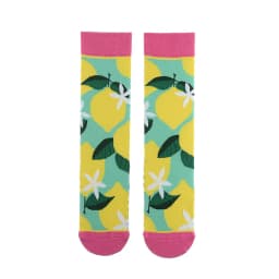 Fashion Colorful Spring Autumn Stocking Women's Socks Plant Hedgehog Slothsi Cotton Socks Personality Straight Trendy Socks