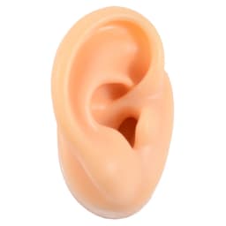 1 Pieces New Silicone Ear Model Professional Practice Piercing Tools Earring Ear Stud Display Tools Can Be Reused Body Jewelry