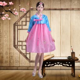 Embroidered Short Korean Traditional Costume Women's Dance Performance Clothes  Ethnic Group Large Long Jin Outfits