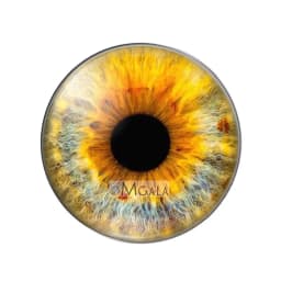 glass eyes cabochons Round 8MM-30MM Round Dome Dragon Eye Dragon Cat Eye Toys DIY Jewelry Accessory MIX Pupil Eye Cameo