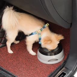 Pet Dog Bowls Floating Not Wetting Mouth Cat Bowl No Spill Drinking Water Feeder Plastic Portable Dog Bowl Dog Accessories