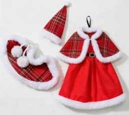 New style Toy accessories gift pretty clothes for your BB FR 1/6 scale dolls BBIKD21P