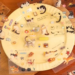 20pcs Corner Cats PET Square Sticker Book for Journal Scrapbooking Planner Decoration Waterproof Cute Animal Stickers, Mr. Paper