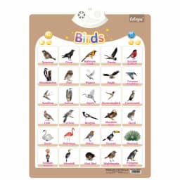 Sports Wall Chart Talking Poster Interactive Toddler Alphabet Learning Best Educational Gift for Boys Girls Ages Letter Sounds