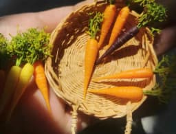 DollHouse Kitchen Scene Miniature Vegetable Fruit Clay Food Play Simulation Mini Potato Accessories Food Supermarket Decorations