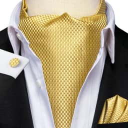 Men's Ascots Fashion Luxury Solid Plaid Check Dot Cravat Set with Cufflinks and Handkerchiefs for Daily Casual Outing
