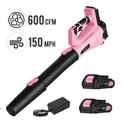 Deli 21V Cordless Leaf Blower 150MPH 600CFM with 2 Batteries and Charger Lightweight for Lawn Care Patio