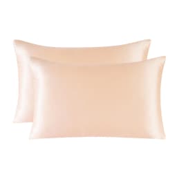 1pair Zipper Pillowcase Both Sides 100% Mulberry Nature Silk Pillow Case For Healthy Single Pillow Cover