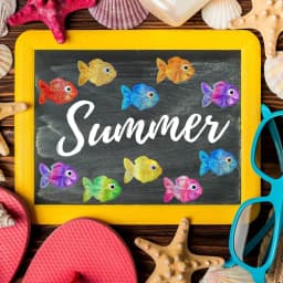500pcs Fish Stickers Laser Colored Sea Creature Seal Stickers Ocean Waterproof Self-Adhesive Decals for Classroom Teacher Reward
