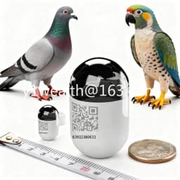New Waterproof Mini Real Time Pigeon GPS Locator with 4G Network, Pigeon GPS Locator for Outdoor Flying