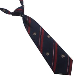 Polyester JK Necktie Simple Plaid Neckwear Striped Neck Tie Clothes Accessories Cravat Uniform Bow Tie Women Men
