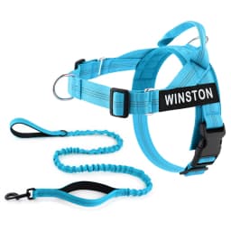 Custom Name No Pull Dog Harness Elastic Buffer Leash Set Adjustable Reflective Nylon Walking Lead for Small Medium Large Dogs
