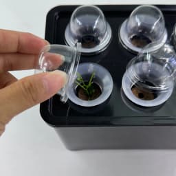 White/Black Hydroponic Grow System Hydroponic Box 6-Hole Nursery Pot for Garden Indoor Plants Vegetable Soilless Culture Planter