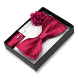 Classic High Quality Bow Tie Set Box Gift For Men Fashion Elegant Bowtie Handchief And Brooch Set Wedding Business Accessories