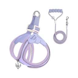 Eye Shape Dog Harness and Leash Set for Small Dogs,Cute Fashion Puppy Walking Vest, Reflective Adjustable Pet Harness for Daily
